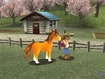 Playing with horse