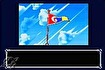 I wish I had my very own flag