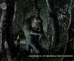 In the woods