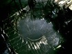 Super detailed staircase