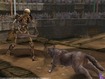 Doggy wants his soup bone