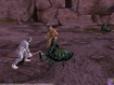 Zeebra man vs a beetle