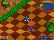 Sonic 3D Blast: Ahhh!  Purple Thing!