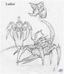 Insect-O-Rama