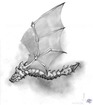Whatever it is, it can fly.