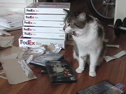 Louie coughing up a hairball on the DVD