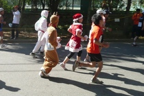 Christmas Runners