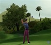 Taking a swing at it