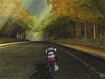 Biking through a forest