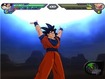 Wii Preview