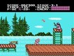 Ninja Gaiden - NES