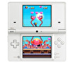 Nintendo of Europe WiiWare & DSiWare Media Summit 2009