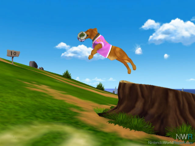 Pet sport. Pets Sport Dogs игра. Dog Football Wii. Игра про красного пса Nintendo Wii.