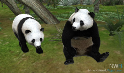 zoo resort 3d