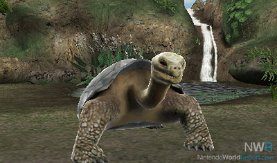zoo resort 3d