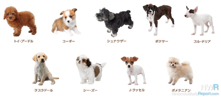 Nintendogs + Cats Breed Lists Revealed - News - Nintendo World Report