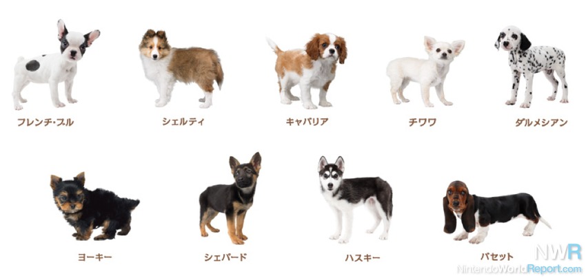 Nintendogs + Cats Breed Lists Revealed - News - Nintendo World Report