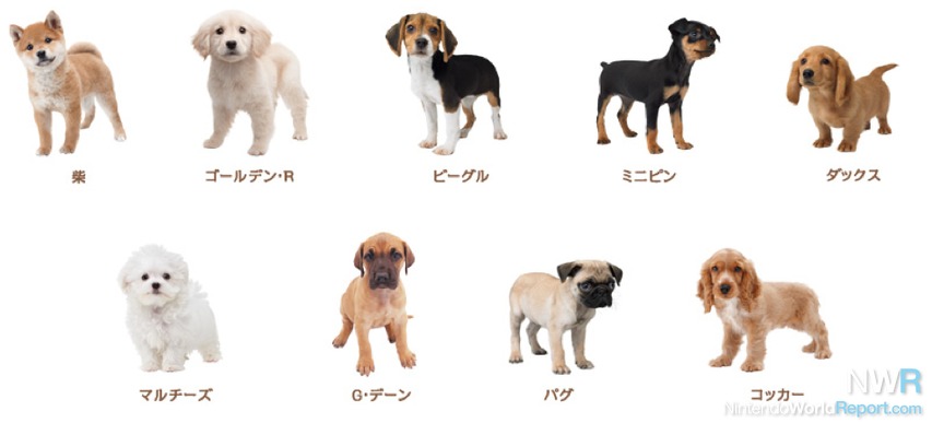 Nintendogs + Cats Breed Lists Revealed - News - Nintendo World Report