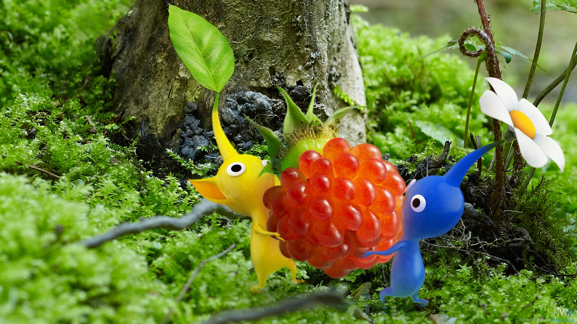 Pikmin picture