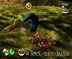 The worm-neck stork pops up from the ground