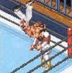Liger's day is about to get worse
